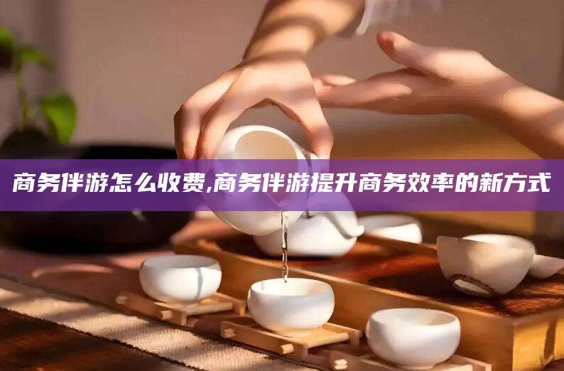 德阳商务伴游怎么收费,商务伴游提升商务效率的新方式